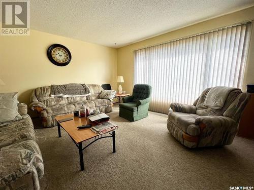 217 Pelletier Drive, Swift Current, SK - Indoor Photo Showing Living Room