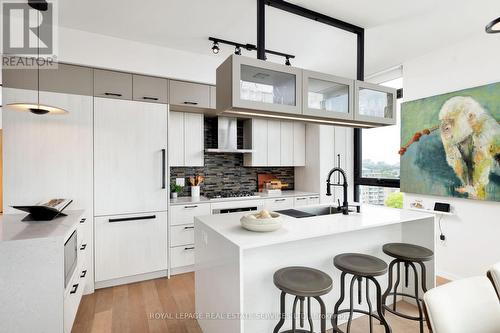 1002 - 41 Dovercourt Road, Toronto, ON - Indoor Photo Showing Kitchen With Upgraded Kitchen