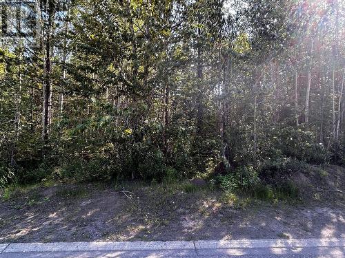 160 Murray Drive, Tumbler Ridge, BC 