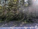 160 Murray Drive, Tumbler Ridge, BC 