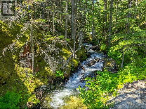 1734 Mt Begbie Road, Revelstoke, BC - Outdoor