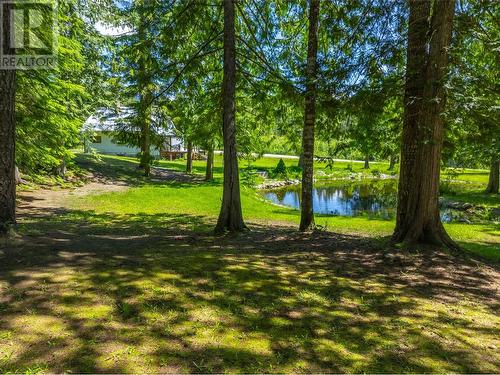 1734 Mt Begbie Road, Revelstoke, BC - Outdoor With View