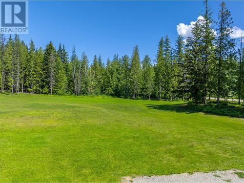 1734 Mt Begbie Road, Revelstoke, BC - Outdoor