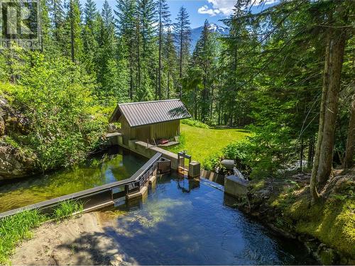 1734 Mt Begbie Road, Revelstoke, BC - Outdoor