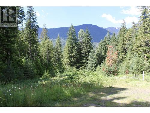 4515 6 Highway, Hills, BC - Outdoor With View