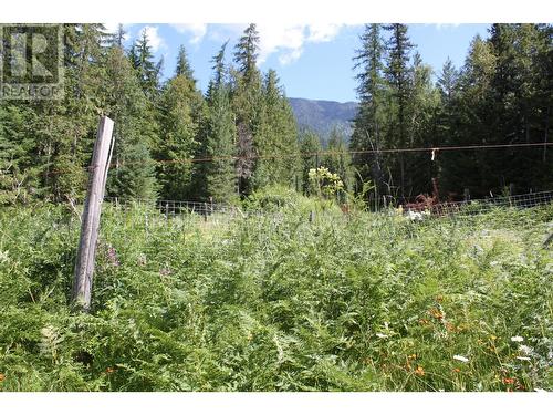 4515 6 Highway, Hills, BC - Outdoor With View