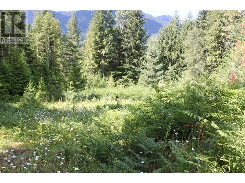 4515 6 Highway, Hills, BC - Outdoor