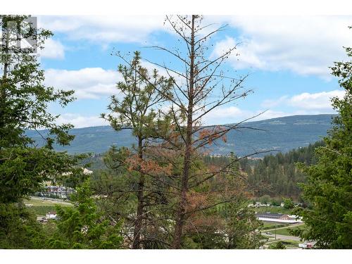 1029 Long Ridge Drive, Kelowna, BC - Outdoor With View