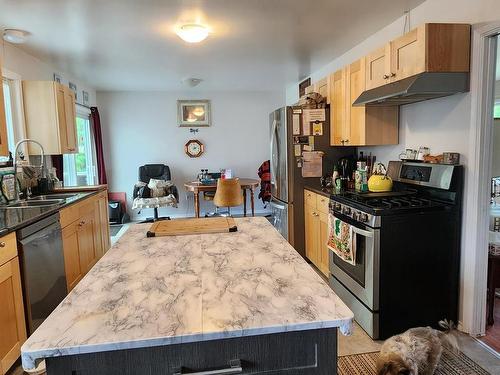 2652 Priest Ave, Merritt, BC - Indoor Photo Showing Kitchen With Double Sink