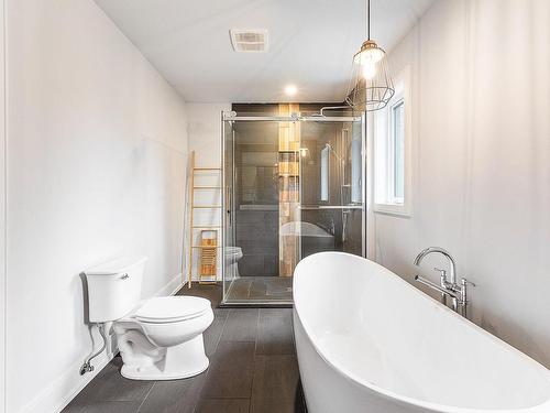 Bathroom - 108 Rue De Verchères, Dunham, QC - Indoor Photo Showing Bathroom