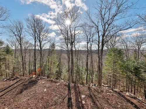 Terre/Terrain - Ch. Domaine Sur Le Lac, Sainte-Lucie-Des-Laurentides, QC - Outdoor With View