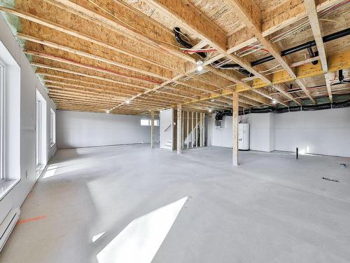 Basement - Ch. Domaine Sur Le Lac, Sainte-Lucie-Des-Laurentides, QC - Indoor Photo Showing Basement