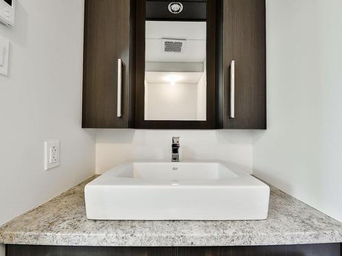 Powder room - 30 58E Avenue, Mandeville, QC - Indoor Photo Showing Bathroom