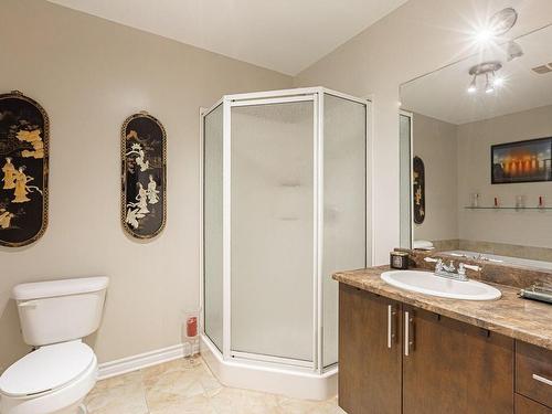 Salle de bains - 5-427 21E Avenue, Montréal (Lachine), QC - Indoor Photo Showing Bathroom