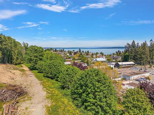 9749 Elm St, Chemainus, BC 