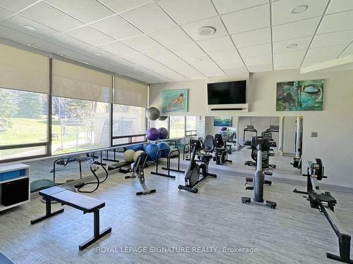2005-75 Wynford Hts Cres, Toronto, ON - Indoor Photo Showing Gym Room