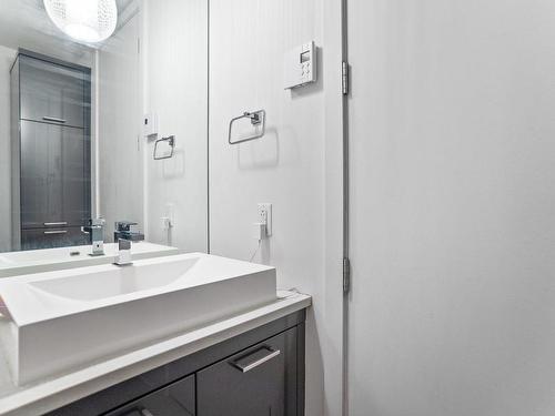 Salle d'eau - 410-365 Rue St-André, Montréal (Ville-Marie), QC - Indoor Photo Showing Bathroom