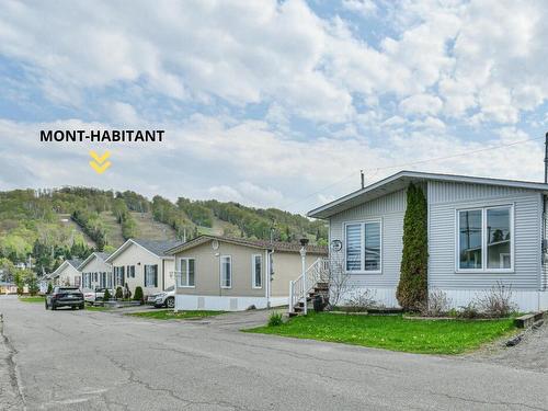 Autre - 305 Ch. Des Habitations-Des-Monts, Saint-Sauveur, QC - Other