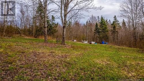 609 Sorrel Ridge Road, Rollingdam, NB - Outdoor With View