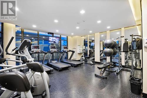 1003 - 99 The Donway Way W, Toronto, ON - Indoor Photo Showing Gym Room