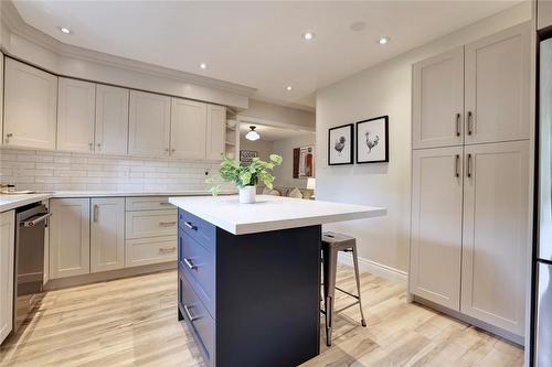 448 White Drive, Milton, ON - Indoor Photo Showing Kitchen With Upgraded Kitchen