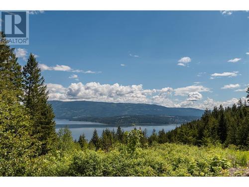 285 Kault Hill Road, Salmon Arm, BC - Outdoor With Body Of Water With View