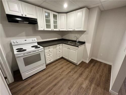 44 Golden Boulevard E|Unit #Basement, Welland, ON - Indoor Photo Showing Kitchen With Double Sink