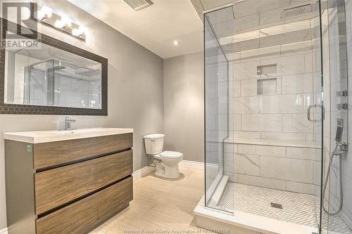 3566 Whiteside Drive, Windsor, ON - Indoor Photo Showing Bathroom
