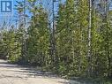 Lot 2 Spry Road, Northern Bruce Peninsula, ON 