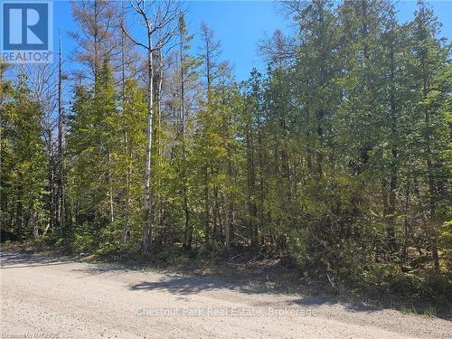 Lot 2 Spry Road, Northern Bruce Peninsula, ON 