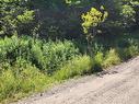 Lot Highway 215, Urbania, NS 