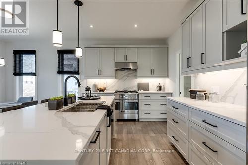 36 Rosina Lane, Zorra (Thamesford), ON - Indoor Photo Showing Kitchen With Double Sink With Upgraded Kitchen