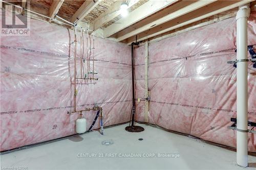 36 Rosina Lane, Zorra (Thamesford), ON - Indoor Photo Showing Basement