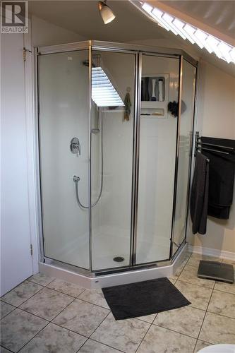 En-suite bathroom with shower and skylight - 95 Algonquin Avenue, Long Sault, ON - Indoor Photo Showing Bathroom