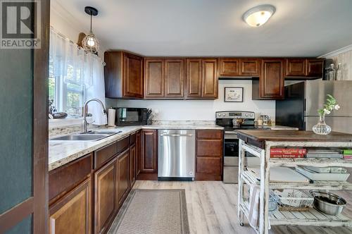 132 Water Street, Carbonear, NL - Indoor Photo Showing Kitchen With Double Sink