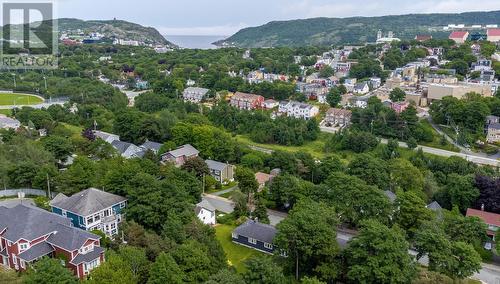 34 Poplar Avenue, St. John'S, NL - Outdoor With View