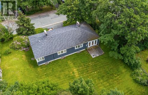 34 Poplar Avenue, St. John'S, NL - Outdoor