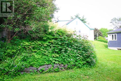 34 Poplar Avenue, St. John'S, NL - Outdoor