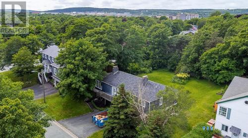 34 Poplar Avenue, St. John'S, NL - Outdoor With View