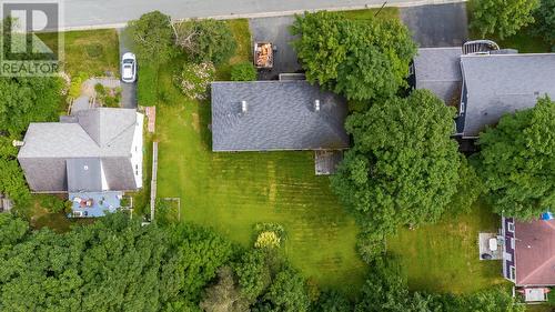 34 Poplar Avenue, St. John'S, NL - Outdoor With View