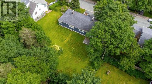 34 Poplar Avenue, St. John'S, NL - Outdoor With View