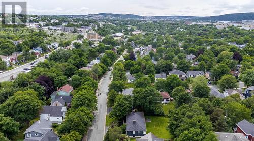 34 Poplar Avenue, St. John'S, NL - Outdoor With View