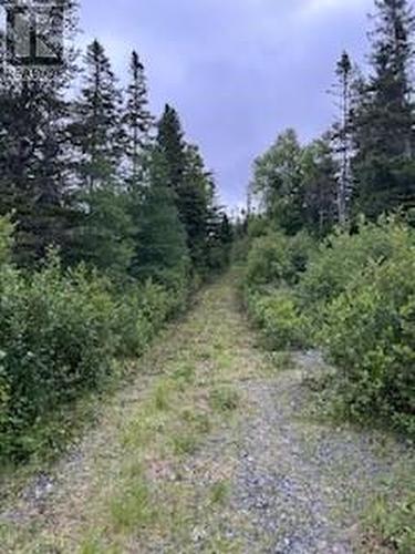 3 Camp Pond Road, Thorburn Lake, NL - Outdoor With View
