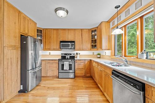 8475 Squilax-Anglemont Road, Anglemont, BC - Indoor Photo Showing Kitchen With Double Sink