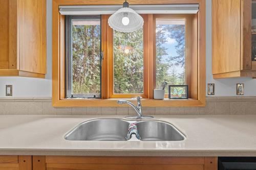 8475 Squilax-Anglemont Road, Anglemont, BC - Indoor Photo Showing Kitchen With Double Sink