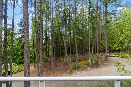 8475 Squilax-Anglemont Road, Anglemont, BC - Outdoor With View