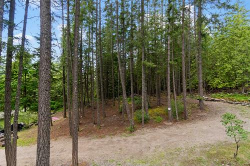 8475 Squilax-Anglemont Road, Anglemont, BC - Outdoor