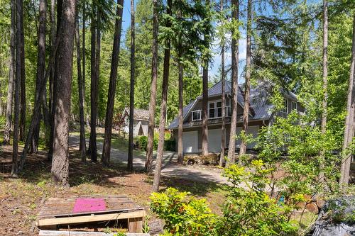 8475 Squilax-Anglemont Road, Anglemont, BC - Outdoor