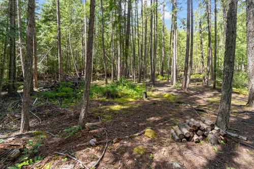 8475 Squilax-Anglemont Road, Anglemont, BC - Outdoor With View