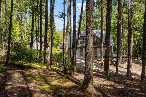 8475 Squilax-Anglemont Road, Anglemont, BC - Outdoor With View